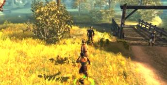 Drakensang: The Dark Eye PC Screenshot