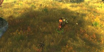 Drakensang: The Dark Eye PC Screenshot