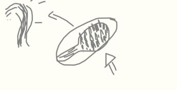 Draw & Guess PC Screenshot