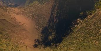 Drizzlepath