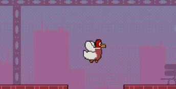 Duck's Despair