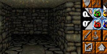 Dungeon Master II: The Legend of Skullkeep PC Screenshot