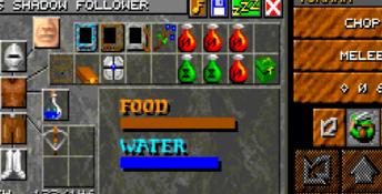 Dungeon Master II: The Legend of Skullkeep PC Screenshot
