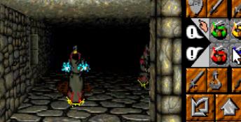 Dungeon Master II: The Legend of Skullkeep PC Screenshot