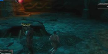 Dungeons & Dragons Online PC Screenshot