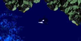 ECCO Jr. PC Screenshot