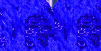 Ecco The Dolphin (1993) PC Screenshot