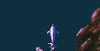 Ecco The Dolphin (1993) PC Screenshot