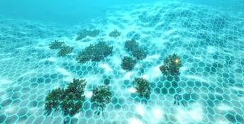 Ecosystem