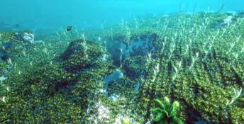 Ecosystem