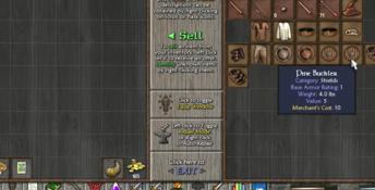Eschalon: Book II PC Screenshot