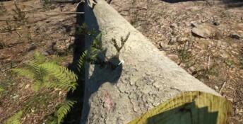 Evergreen - Mountain Life Simulator PC Screenshot