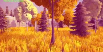 Forest Mystery