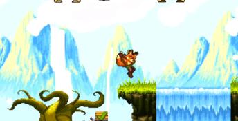 Fox N Forests PC Screenshot