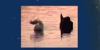 Front Page Sports: Trophy Bass 2 PC Screenshot