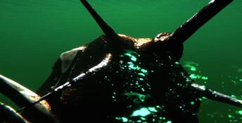 Full Fathom PC Screenshot