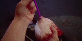 FUTA RUNNER: Big Dick Edition PC Screenshot