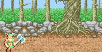 Golden Axe PC Screenshot