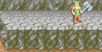 Golden Axe PC Screenshot