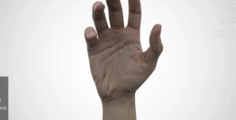HAELE 3D - Hand Poser Lite
