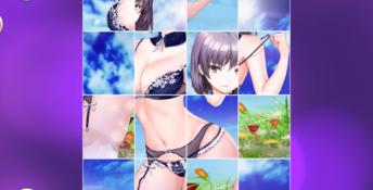 Hentai Chicks PC Screenshot