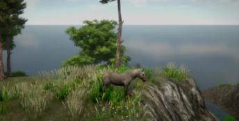 Horse and Go Seek