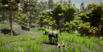 Horse and Go Seek PC Screenshot