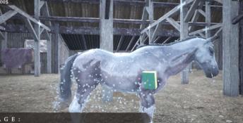 Horse Shelter 2022