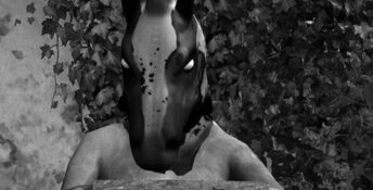 Horses PC Screenshot