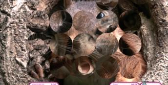 I Love Finding Critters PC Screenshot