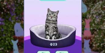 I Love Finding MORE Cats