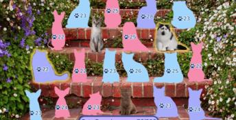 I Love Finding MORE Cats