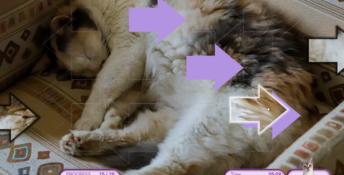 I Love Finding MORE Cats PC Screenshot