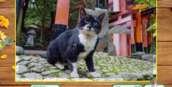 I Love Finding MORE Cats PC Screenshot