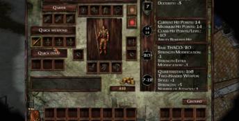 Icewind Dale: Enhanced Edition