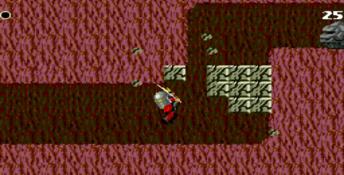 Kid Chameleon PC Screenshot