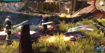Kingdoms of Amalur: Re-Reckoning - Fatesworn PC Screenshot