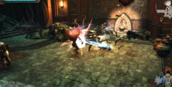 Kingdoms of Amalur: Re-Reckoning - Fatesworn PC Screenshot