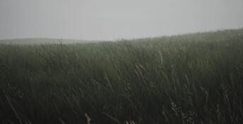 Lushfoil Photography Sim PC Screenshot