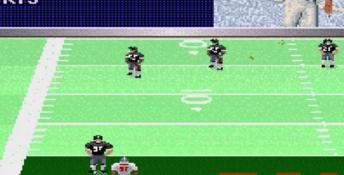 Madden NFL '96 PC Screenshot
