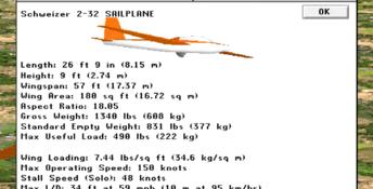Microsoft Flight Simulator 5.0 PC Screenshot