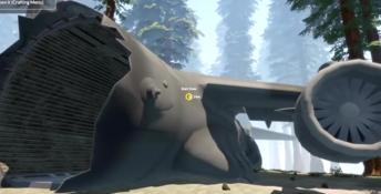 Missing Plane: Survival