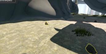 Missing Plane: Survival