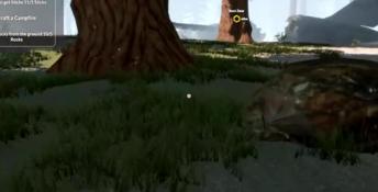 Missing Plane: Survival