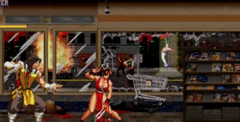 Mortal Kombat Hentai Edition