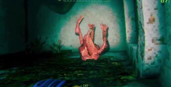 Murky Divers