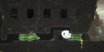 Mushroom 11