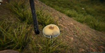 Mushrooms: Forest Walker