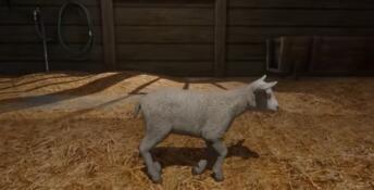My Life: Farm Vet