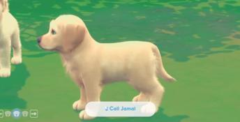 My Universe – Puppies & Kittens PC Screenshot